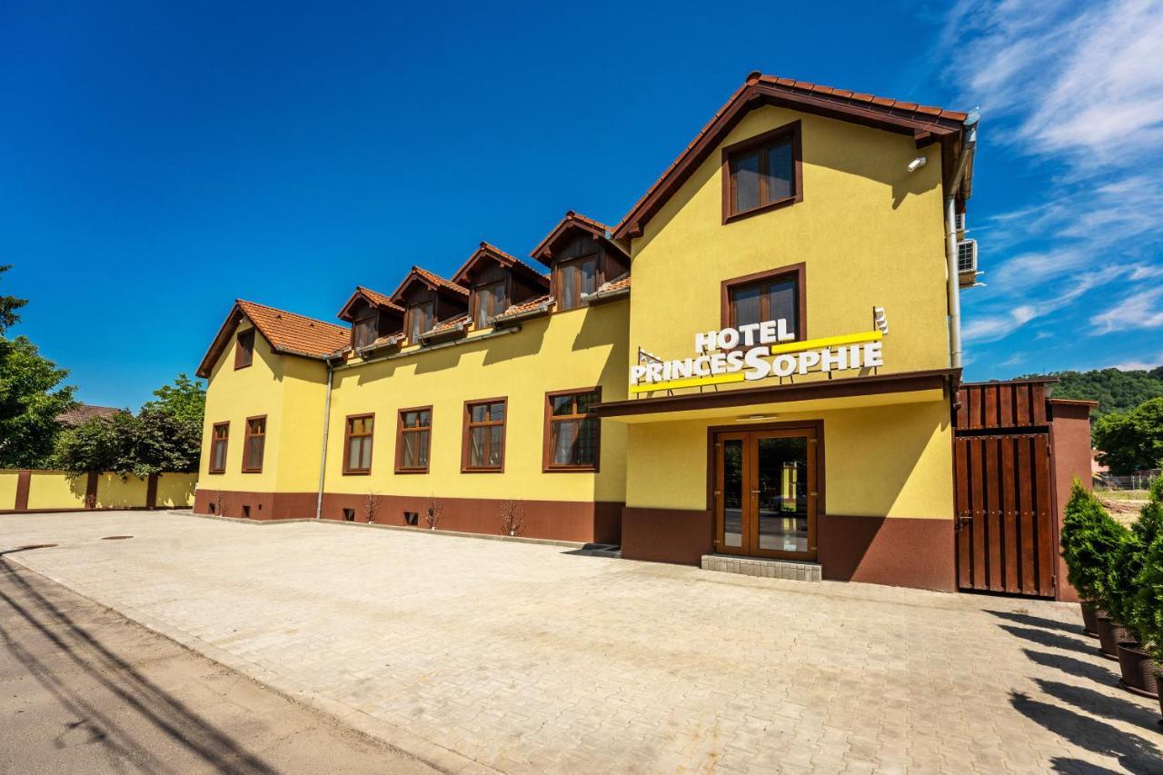 Hotel Princessophie Σιγκισοάρα Εξωτερικό φωτογραφία