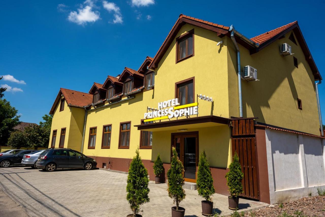 Hotel Princessophie Σιγκισοάρα Εξωτερικό φωτογραφία