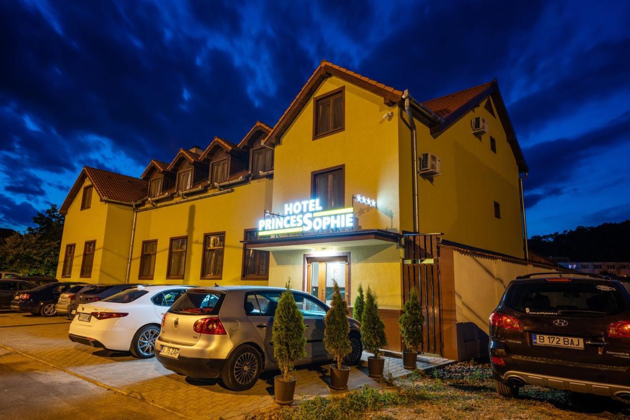Hotel Princessophie Σιγκισοάρα Εξωτερικό φωτογραφία